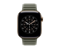 Apple Pasek magnetyczny 46 mm S/M szałwiowy - 1362617 - zdjęcie 2